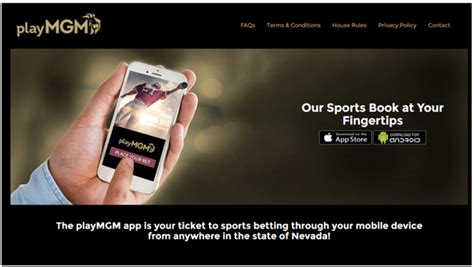 playmgm|bet mgm play online.